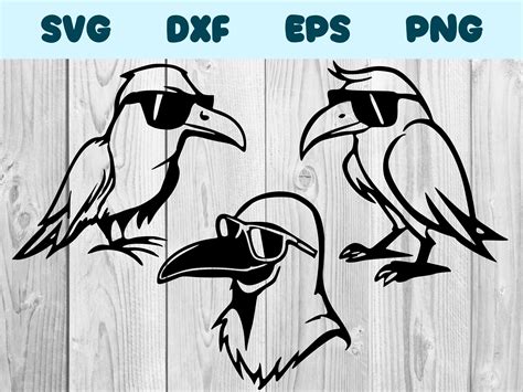 Crow Wearing Sunglasses Svg Crow With Glasses Png Crow Clipart Etsy