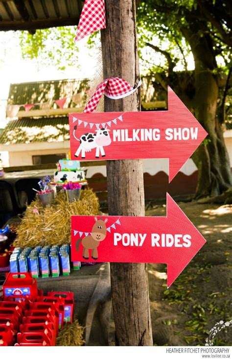 Farmyard Birthday Party | Lovilee Blog