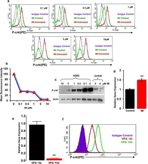 Cross Talk Between Notch And Bcr Abl In The K562 And All Sil Cell Line Download Scientific