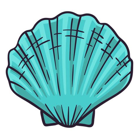 Vetor Png E Svg Transparente De B Zio De Concha Do Mar