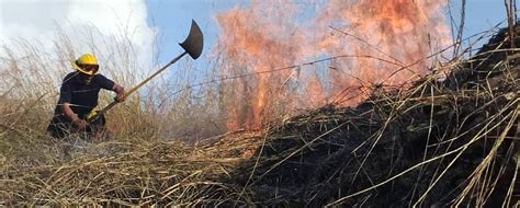 Incendio Forestal De “gran Magnitud” Consumió 250 Hectáreas Del Parque