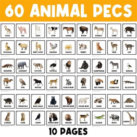 100 Zoo Animals Names In English With Images Zoo Animals