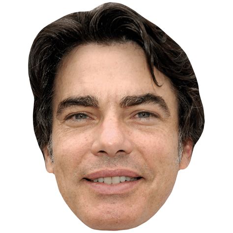 Peter Gallagher (Young) Mask - Celebrity Cutouts