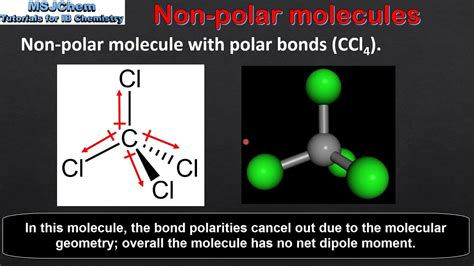 Polar Molecule Diagram