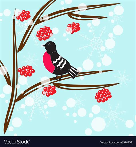 Bullfinch Branch Royalty Free Vector Image Vectorstock