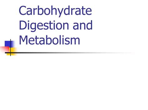 PPT - Carbohydrate Digestion and Metabolism PowerPoint Presentation, free download - ID:6750759