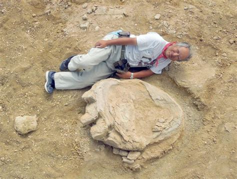 Dinosaur Footprint Among Largest On Record Found In Gobi Desert