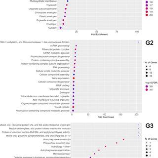 Dot Plot Of Gene Ontology Go Enrichment Analysis Results Obtained