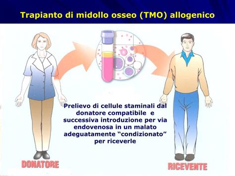 Ppt La Donazione Di Cellule Staminali Emopoietiche Powerpoint