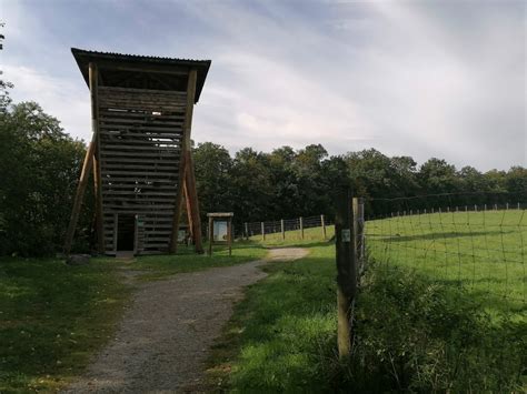 Trekkingbike Wrexen Fl E Radtour Im Naturpark Teutoburger Wald