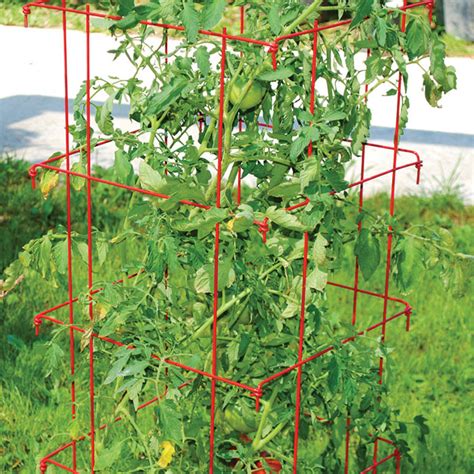 Jung Jumbo Red Tomato Cages Supports And Netting J W Jung Seed Company