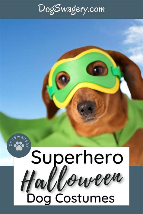 20 Superhero Dog Costumes for Halloween • DogSwagery | Superhero dog ...