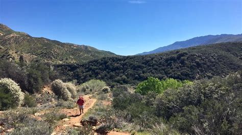 Weekend Backpacking Trip In Southern California Sespe Wilderness Los