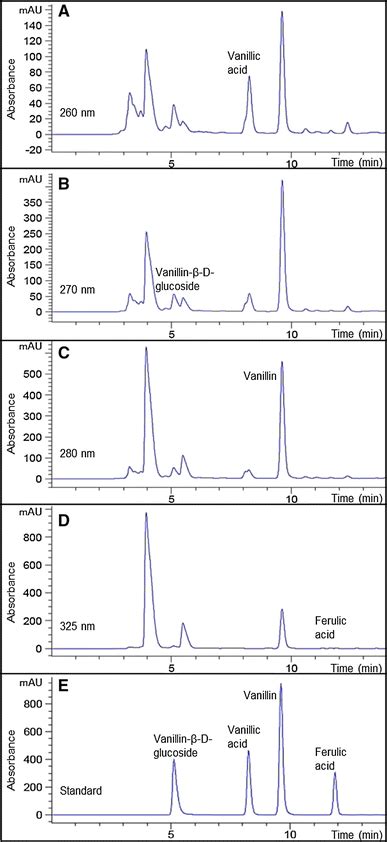 Hplc Chromatograms Of The Phenolic Compounds Extracted From Transformed Download Scientific