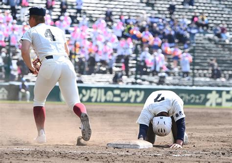 【センバツ】8強出揃う 大阪桐蔭、仙台育英、報徳学園、東海大菅生がベスト8／スコア詳細 高校野球ライブ速報写真ニュース 日刊スポーツ