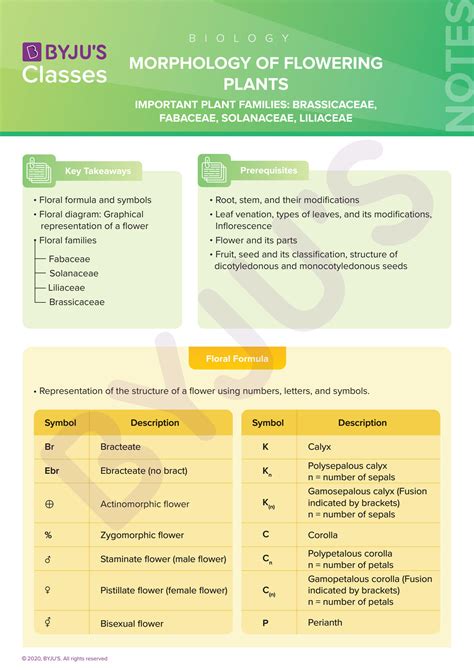 SOLUTION Morphology Of Flowering Plants Biology Class Notes 5 2