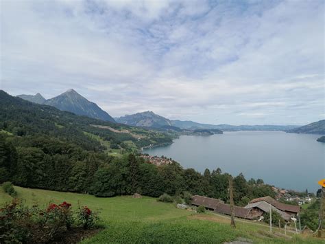 Thunersee Rundflug Mit Apero Meielisalp Wingly