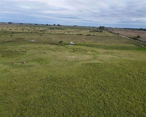 Campo en Venta 150 Hectáreas Agrícolas con Mejoras Agroads