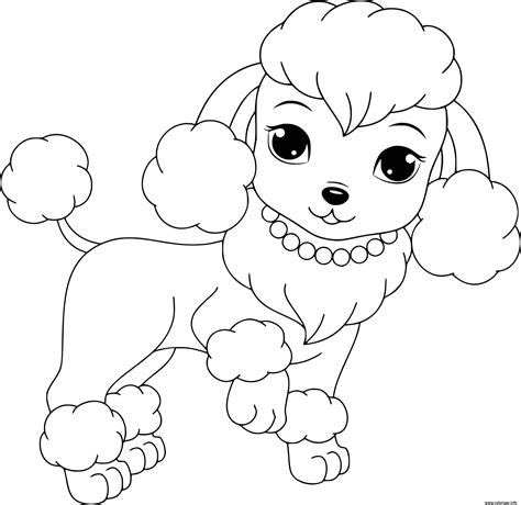 Coloriage Princesse Caniche Avec Un Toilettage En Lion Dessin Chien