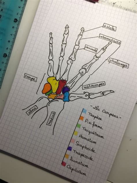 Épinglé par Sanya sur My saves Planificateur de leçon Cahiers de