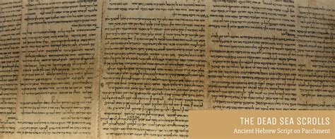 Dead Sea Scrolls: Discovery, Age, History (And Authorship)