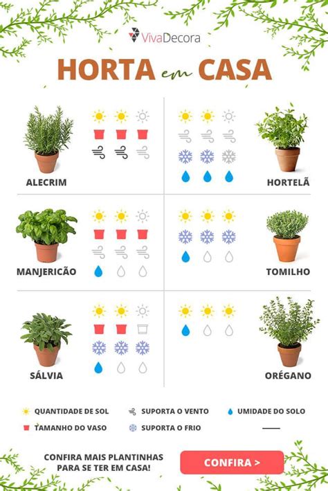 Horta Em Casa Para Cultivar Ervas E Temperos Artofit