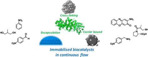 Biocatalysis Using Immobilized Enzymes In Continuous Flow For The