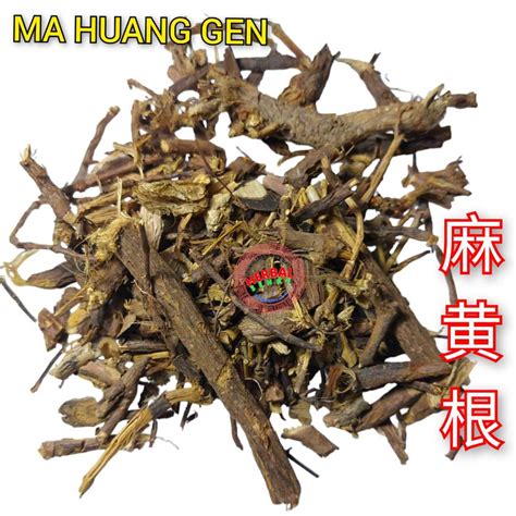 Jual Ma Huang Gen 50gram 麻黄根 Radix Ephedrae Ephedra Root Shopee Indonesia