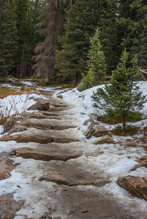 Snowy hiking trail stock photo. Image of frosty, season - 94342070