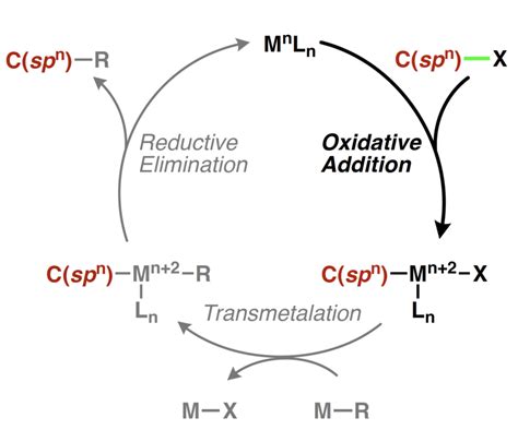 Scheme1generic Mechanism For Transition Metal Catalyzed Cross Coupling