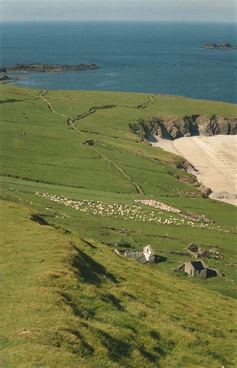 Great Blasket Island History - Great Blasket Island