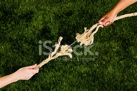 Tug Of Love Or War Hands Pulling Apart Frayed Rope Stock Photo