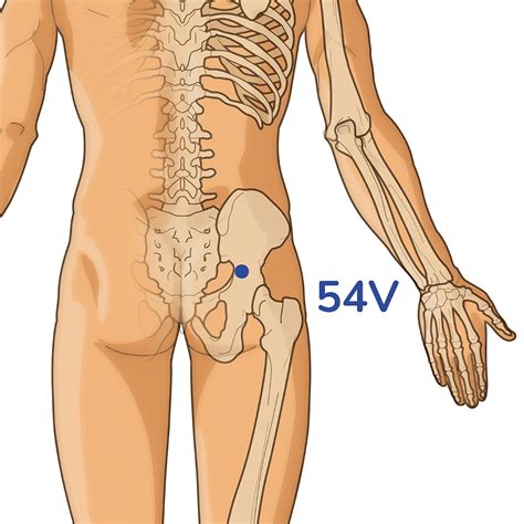 Pressure Points For Sciatica Relief A Step By Step Guide