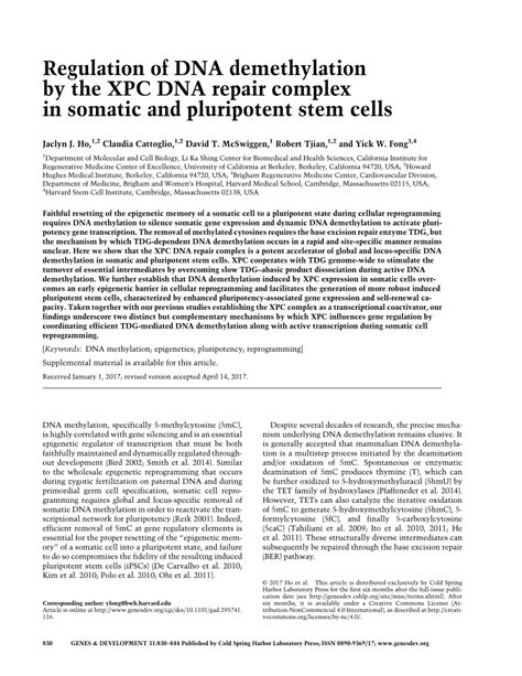 Pdf Regulation Of Dna Demethylation By The Xpc Dna Repair Complex In