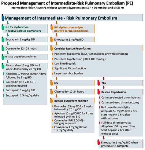 Decision Making In Management Of Intermediate Risk Pulmonary Embolism Download Scientific Diagram