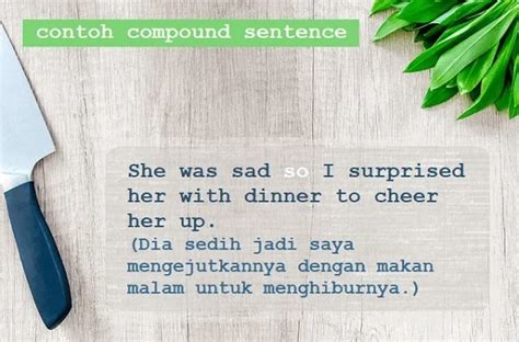 Contoh Kalimat Statement Bahasa Inggris Pulp