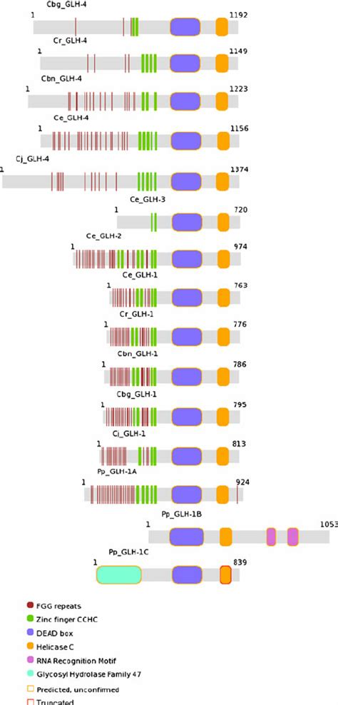 Protein Domain Architectures Of Selected Glh Homologs Domains Were