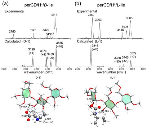 Molecules Free Full Text Noncovalent Complexes Of Cyclodextrin With