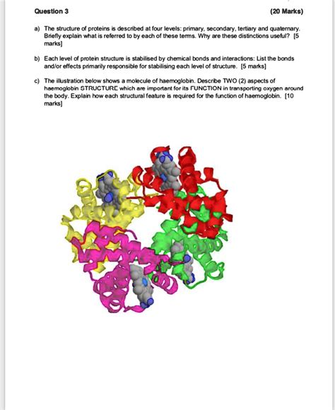 SOLVED Text Question 3 20 Marks The Structure Of Proteins Is