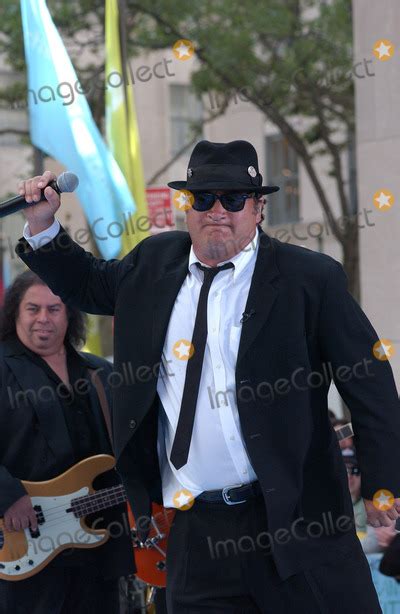 Photos and Pictures - NEW YORK, JULY 9, 2005 Jim Belushi as one of the ...