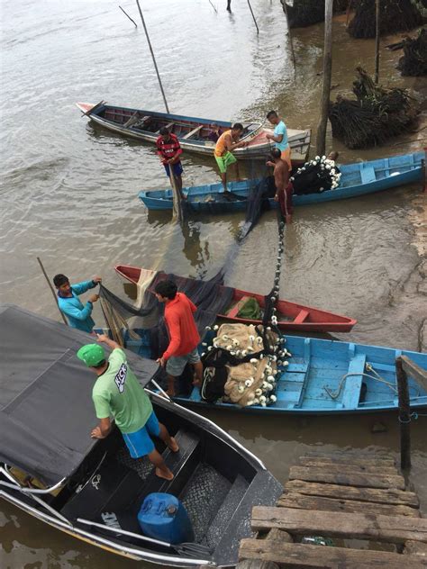 Semma Apreende Redes De Pesca Irregular E Notifica Infratores Da Pesca