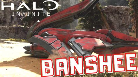 Halo Infinite Banshee Breakdown Youtube