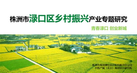 中机院联合株洲市规划测绘设计院承接《株洲市渌口区乡村振兴产业专题研究》 知乎