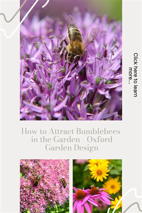 How To Attract Bumblebees In The Garden Artofit