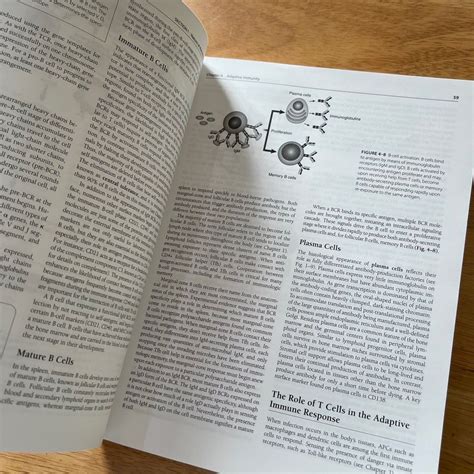 Clinical Immunology and Serology (5th Edition), Hobbies & Toys, Books ...