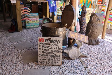 Un Museo Comercial Un Hostel Temático Y Una Farmacia Que Creó La Ruta Cannábica Tres Escenas