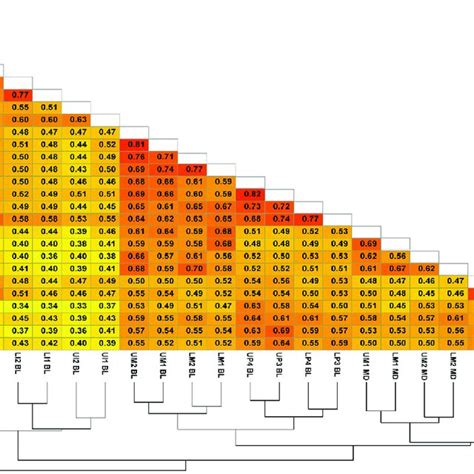 Correlation Plot With Hierarchical Clustering Showing Spearman