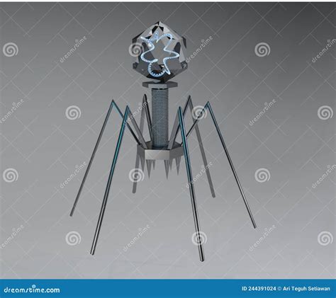 Bacteriophage Anatomy