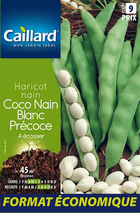 Haricot Nain A Ecosser Coco Blanc Precoce Bricorama