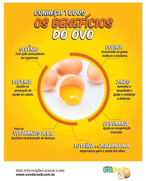 Semana do Ovo consumo da proteína no Brasil será o maior da história